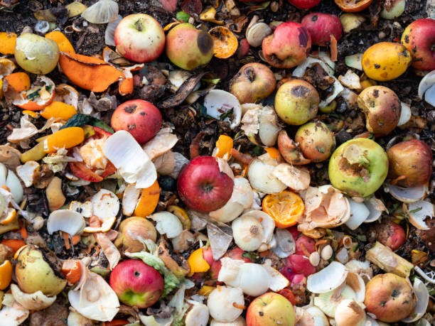 Post-Harvest Losses
